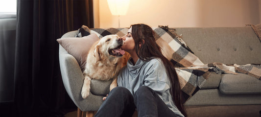 Leishmaniose-Symptome beim Hund erkennen