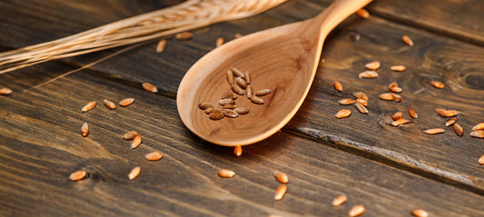 Getreidefreies Trockenfutter für Hunde: Wann ist es die richtige Wahl?