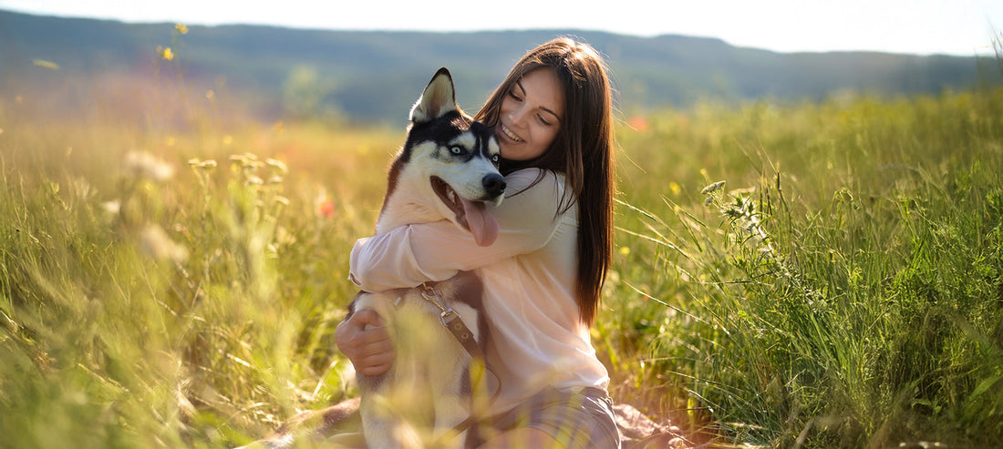 Studie: Hundebesitzer leben länger - weil Hunde glücklich machen