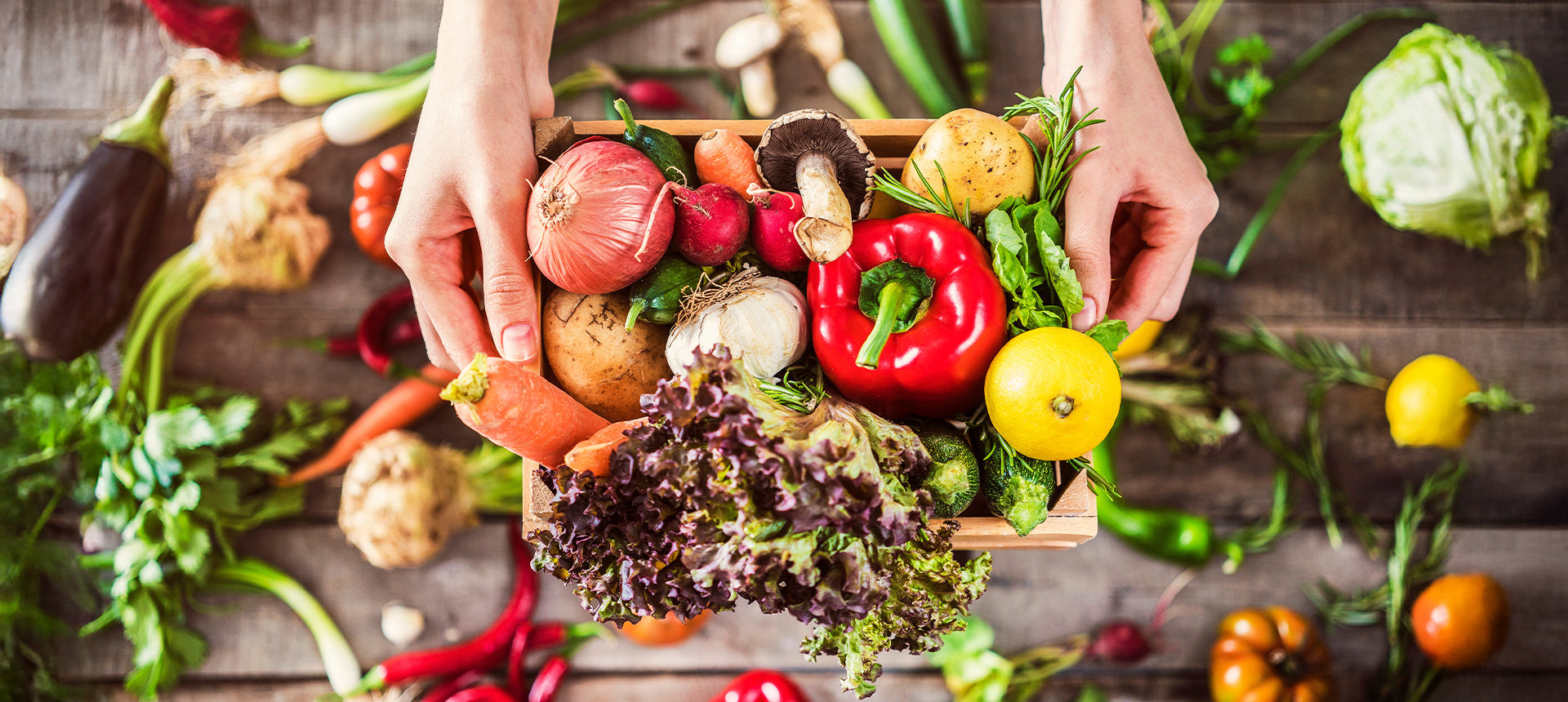 Hundefutter ohne Getreide