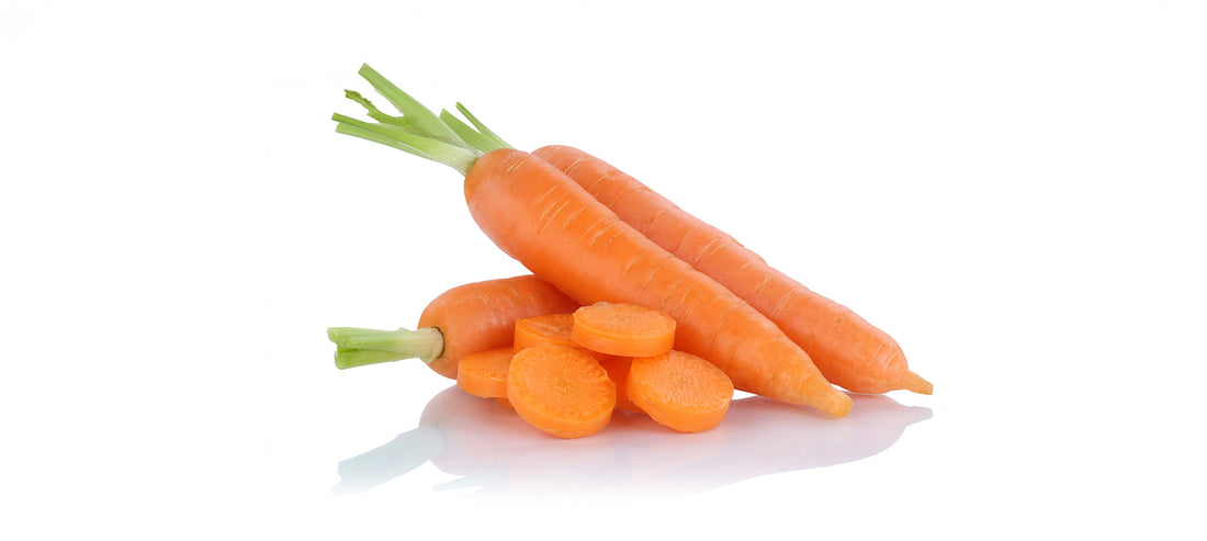 Ausschlussdiät bei Futterallergie