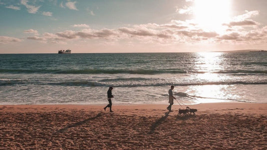 Natürlich vor Viren schützen - Gesund leben & das Immunsystem stärken