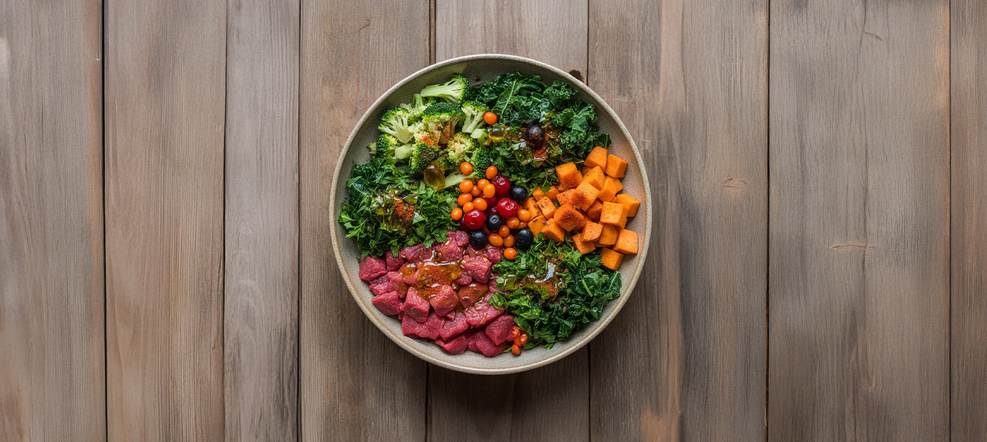 Hundefutter bei Leishmaniose: Ernährung als Schlüssel zur Leishmaniose-Behandlung