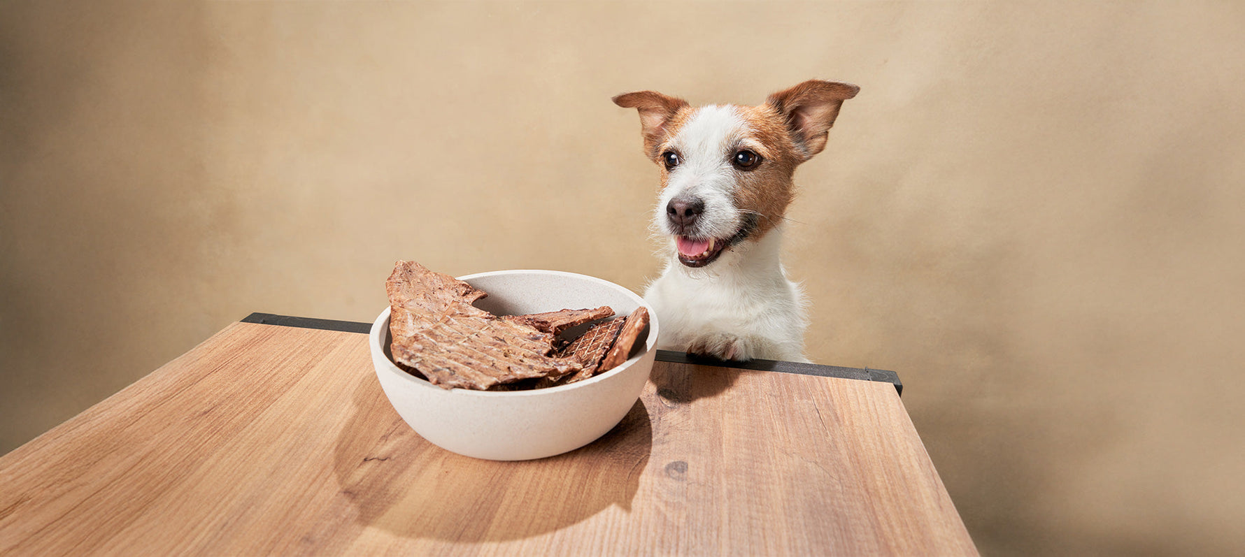 Kausnacks für Hunde