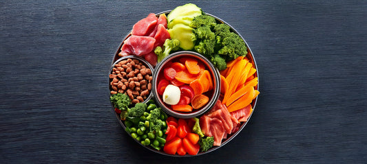 Purinarmes Hundefutter: Alles, was Hundehalter wissen müssen