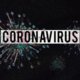 coronavirus-hunde-ubertragung-vorbeugung