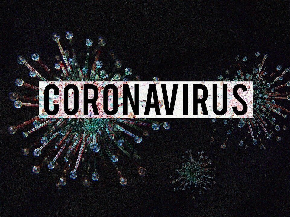 coronavirus-hunde-ubertragung-vorbeugung